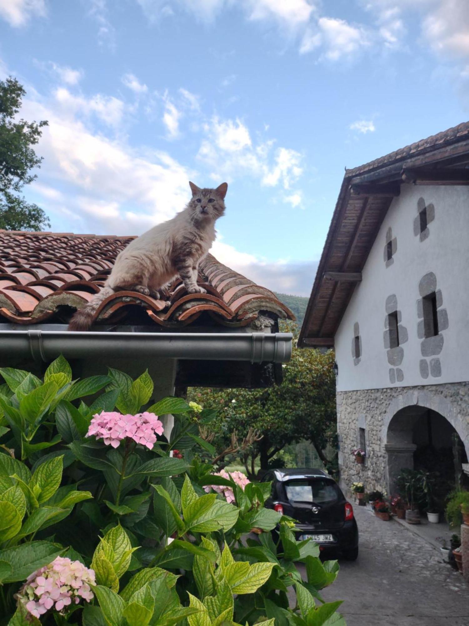 Hotel Rural Natxiondo Lekeitio Εξωτερικό φωτογραφία